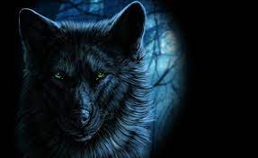 Black wolf wallpaper, animals, fantasy ...