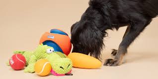 19 best dog toys in 2024 according to