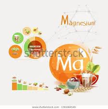 Magnesium Top Natural Organic Foods High Stock Vector
