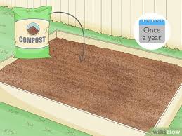 The Best Soil For Raised Garden Beds A