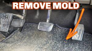 remove mold from car mats no bleach