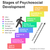 Erikson's Fifth Stage of Psychosocial Development