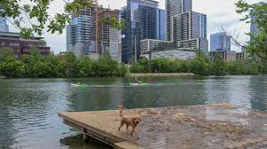 vacation with your dog austin texas
