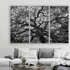 Angel Oak Tree Charleston Sc Triptych