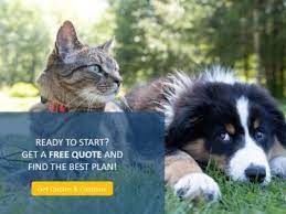 Pet Insurance Review gambar png