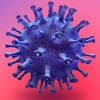 Imagen de la noticia para "¿Cómo se contagia el coronavirus?" de Clarín.com