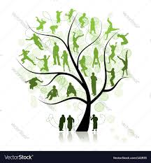 family tree royalty free vector image
