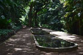 national tropical botanical garden