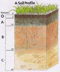 Soil Horizons Power Point Presentation