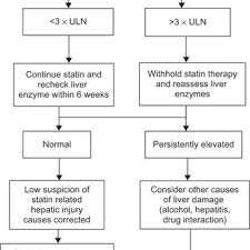 Algorithm For Management For Abnormal Liver Enzymes During