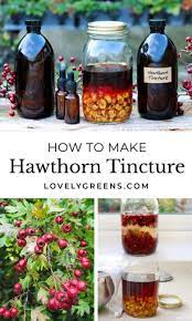 how to make hawthorn tincture lovely