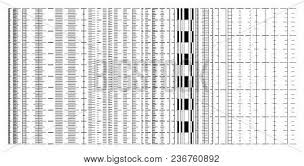 Various Ruler Scales Vector Photo Free Trial Bigstock
