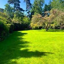 Professional Lawn Care In Cheltenham