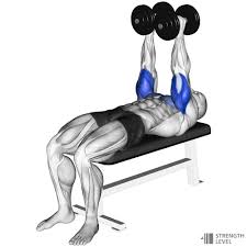 close grip dumbbell bench press