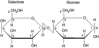 chemical composition of sugar and