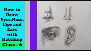 how to draw eyes nose lips and ears