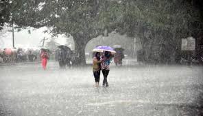 Monsoon Update: Rainfall hits Kerala it may reach in Uttar Pradesh by June  20 | Environment News in Hindi | केरल में शुरु हुई झमाझम बारिश, यूपी में 20  जून तक दस्तक