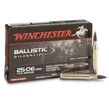 Winchester Supreme Ballistic Silvertip 25 06 Remington Bst 115 Grain 20 Rounds