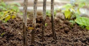 Understanding Garden Soil