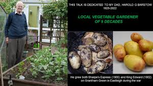 onion garden chicago edimentals