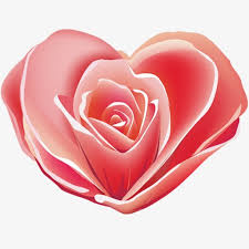 Resultado de imagem para rosas do amor