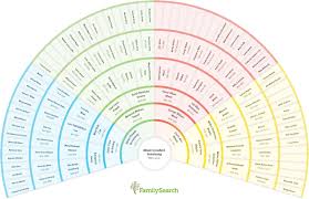 Have You Seen This Cool New Genealogy Charting Tool