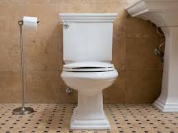 How To Replace A Toilet Diy Toilet