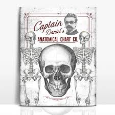 Captain Daniels Anatomical Chart Co Print