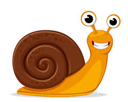 snail images browse 317 634 stock