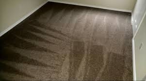 all star carpet cleaning dye reviews