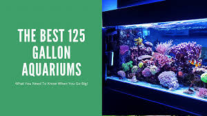 the best 125 gallon aquarium reviews
