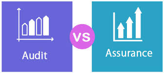 Audit Vs Assurance Top 5 Best Differences With Infographics