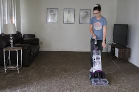 perfect carpet cleaner for pet owners