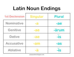 Latin Noun Endings Latin Language Latin Phrases Verb
