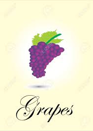 Grapes Chart Vector Illustration