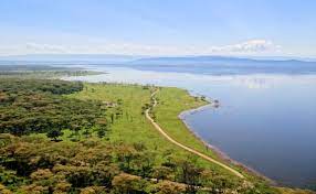 Things to do in nakuru, kenya: Kenianisches Seensystem Im Great Rift Valley Wikipedia