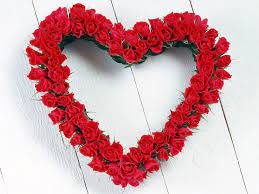 wallpapers com images hd flower heart of red roses