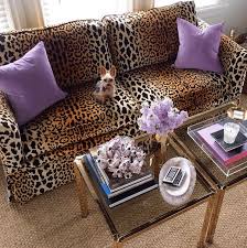 velvet leopard sofa purple pillows
