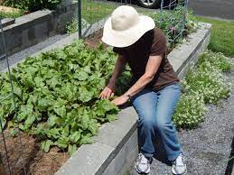 How To Create An Awesome Raised Garden Bed