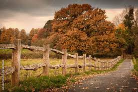 Rustic Wooden Fence Countryside Path