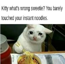 The easiest ramen you will ever make in less than 30 min. Kitty What S Wrong Sweetie You Barely Touched Your Instant Noodles Meme Ahseeit
