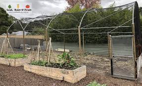 Backyard Orchard Netted Structures