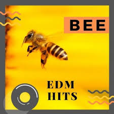 Sifare Dance Chillout Bee Edm Hits 2019 Mp3