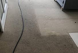 carpet cleaning auckland cheers