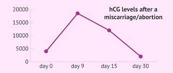 Chart Hcg Levels After A Miscarriage Or Abortion