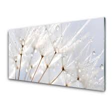 Glass Wall Art Dandelion Fl White