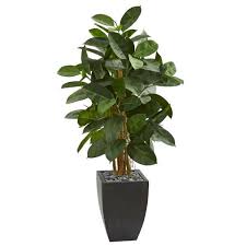 Since 1997 we have provided quality, artificial trees, palms, plants and arrangements. Nearly Natural Indoor 56 In Artificial Rubber Tree In Black Planter 9252 The Home Depot