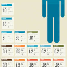 human body composition visual ly