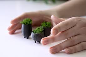 Miniature Moss Bowl Set Of 3 Fairy