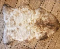 rare breed english sheepskin rug
